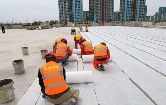 圖五.jpeg 圖五.jpeg