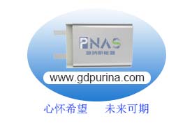 心懷希望，未來可期！PNAS誠招銷售精英